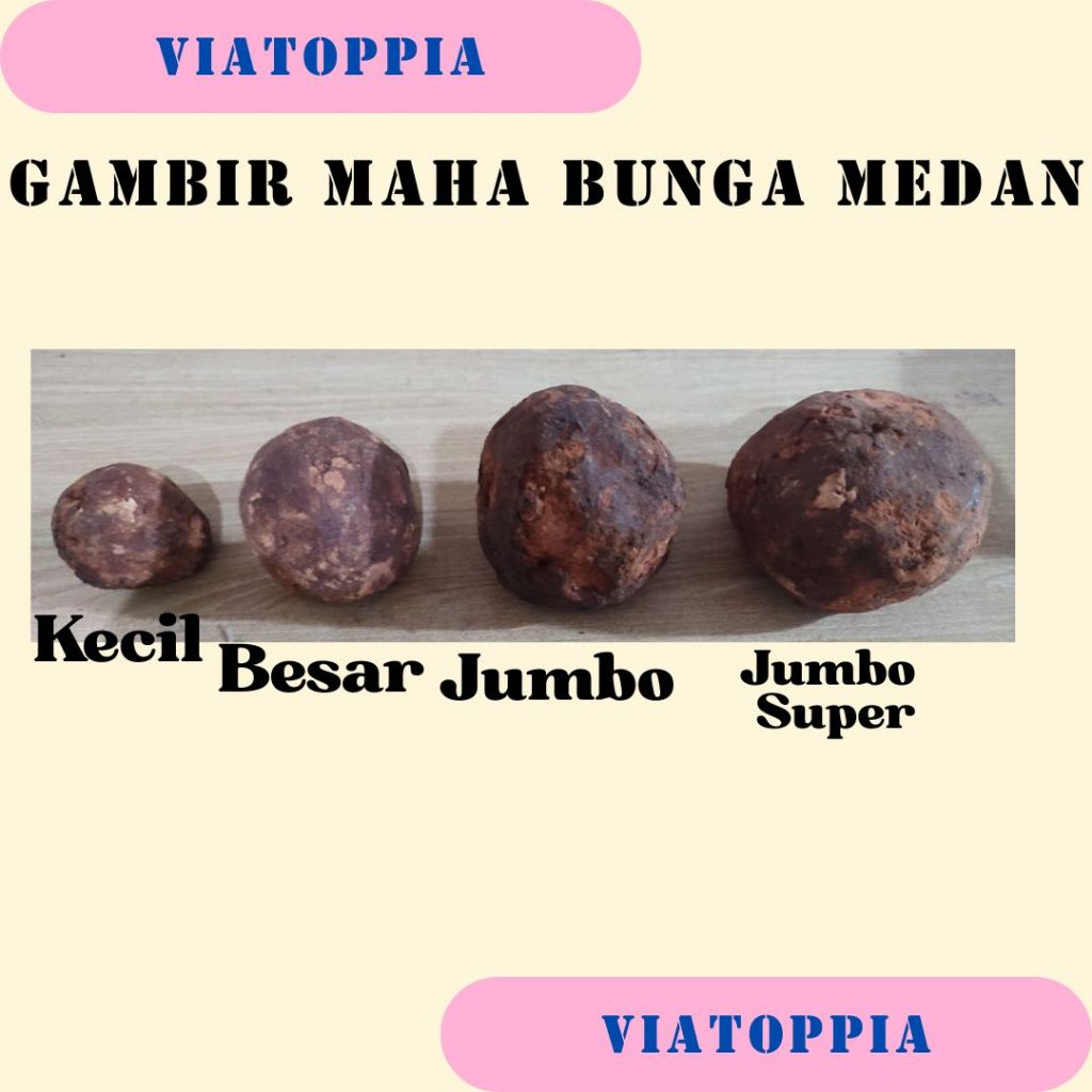 

GAMBIR MAHA BUNGA MEDAN