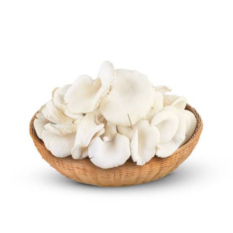 

jamur tiram fresh 250gr-1kg