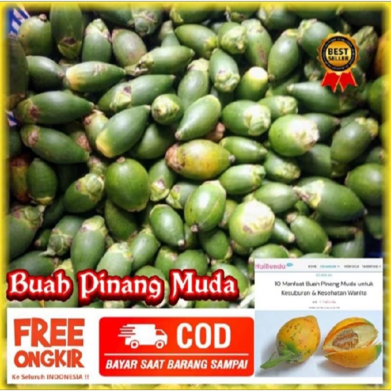 

READY Buah pinang muda 1kg