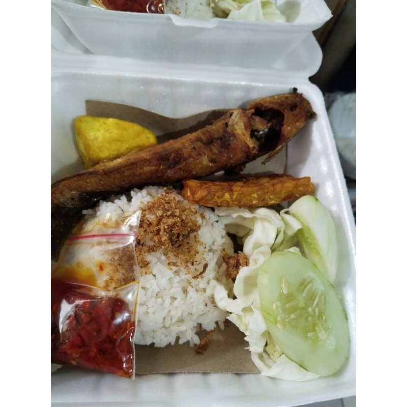 

Nasi paket lele goreng