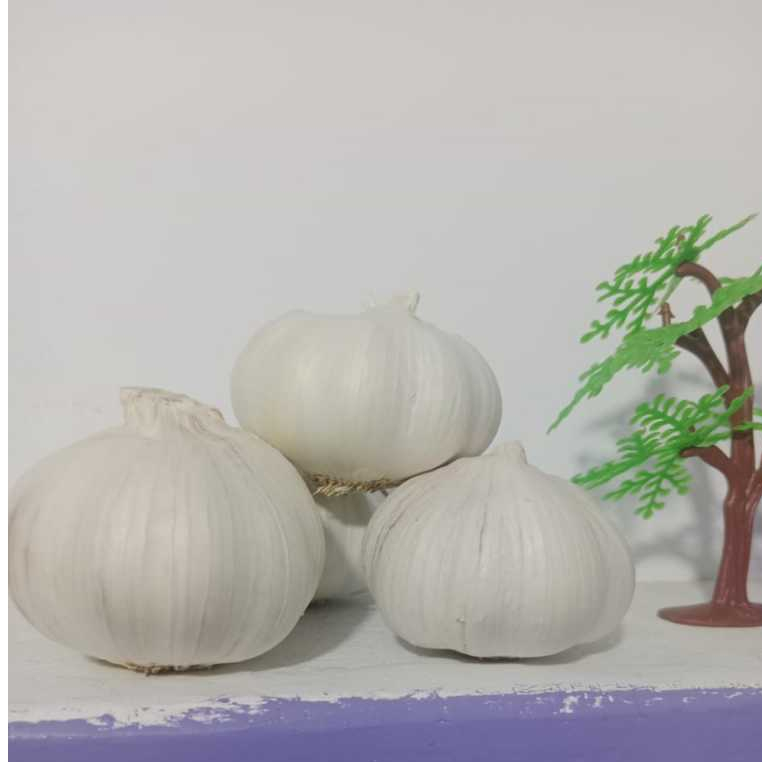 

BAWANG PUTIH bersih 1kg
