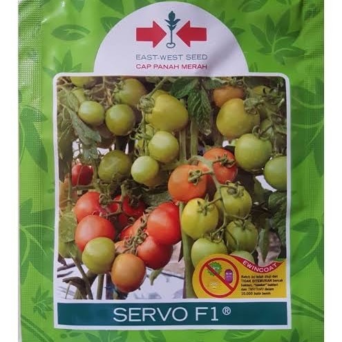 Benih bibit tomat hibrida SERVO F1 Panah Merah
