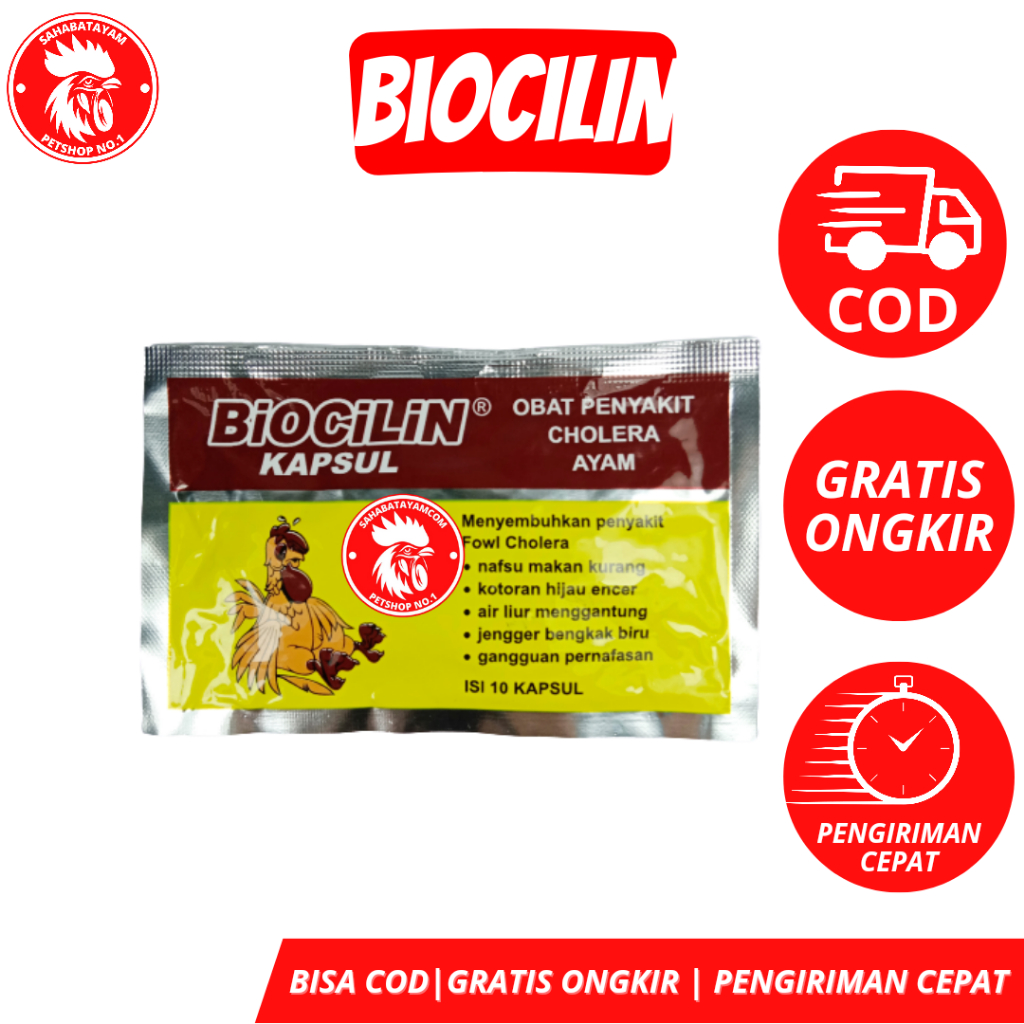 Biocilin Obat Ayam Berak Hijau Obat Ayam Sakit