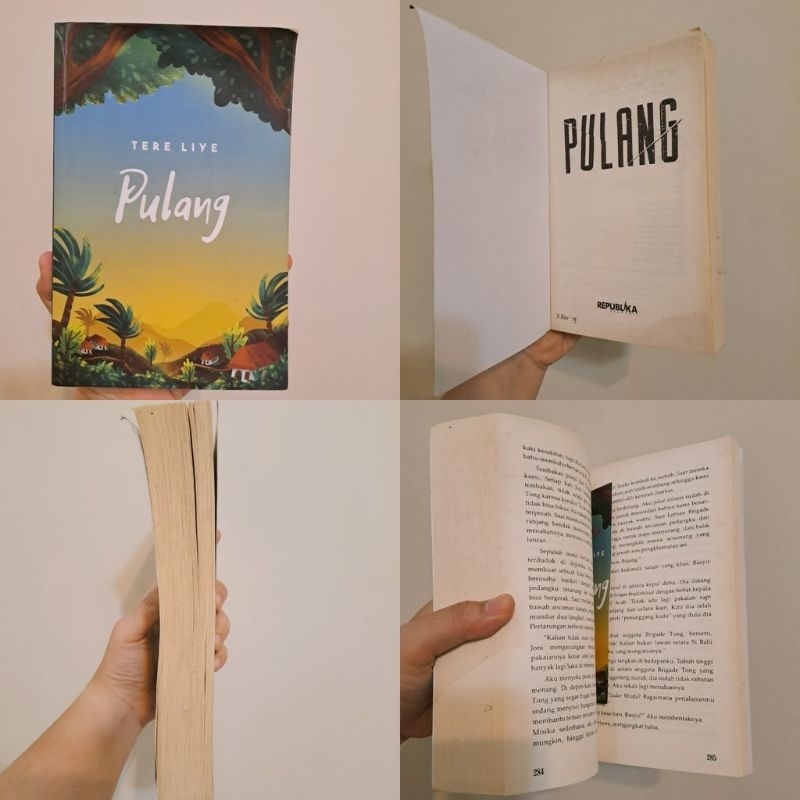 Preloved novel pulang