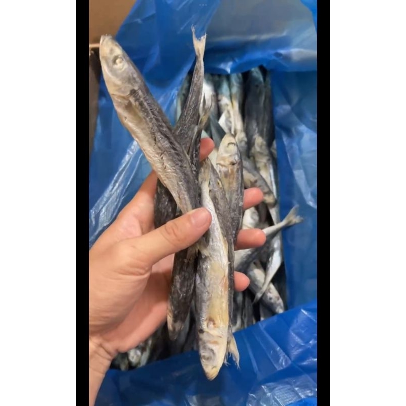 

Ikan Asin layang Ogak pena 250gram
