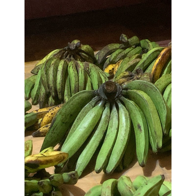 pisang raja tanduk kapaa