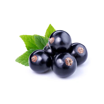 

TFA Blackcurrant perasa