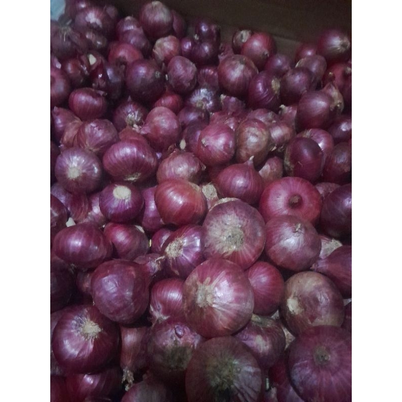 

Bawang Merah India / Bawang Peking 1 kg
