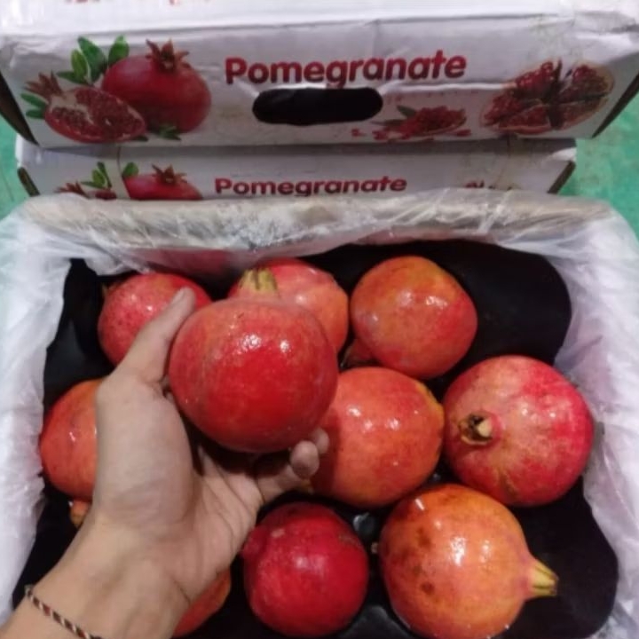 

Buah Delima Merah India Jual Per 1 Dus Karton