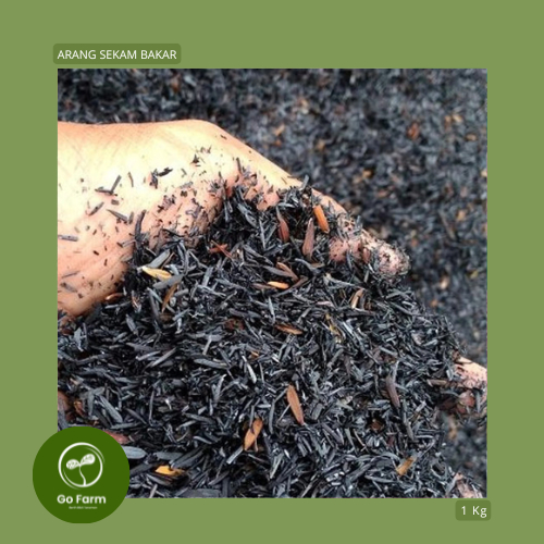 Media Tanam ARANG SEKAM BAKAR 1 Kg