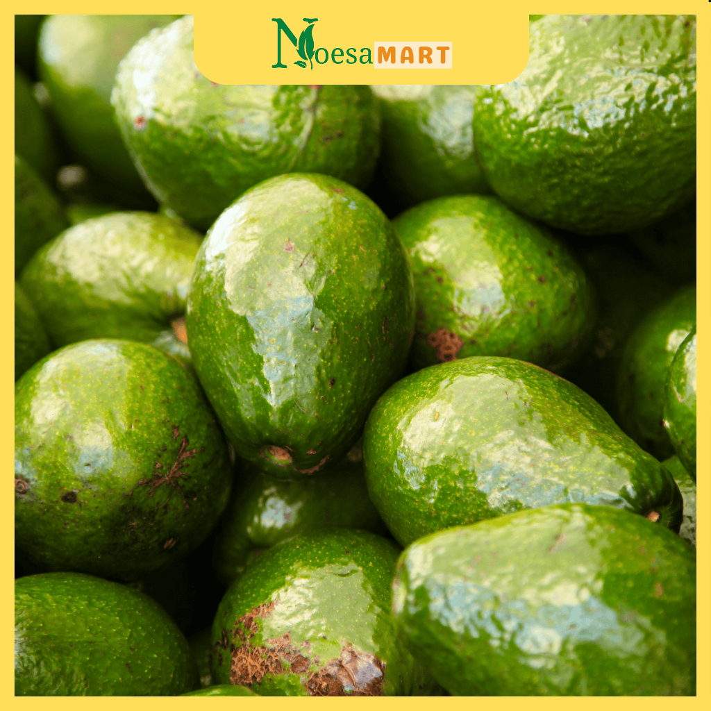 

BERGARANSI! Alpukat Mentega Ekonomis Fresh 1kg, 5kg, dan 10kg Pulen & Gurih