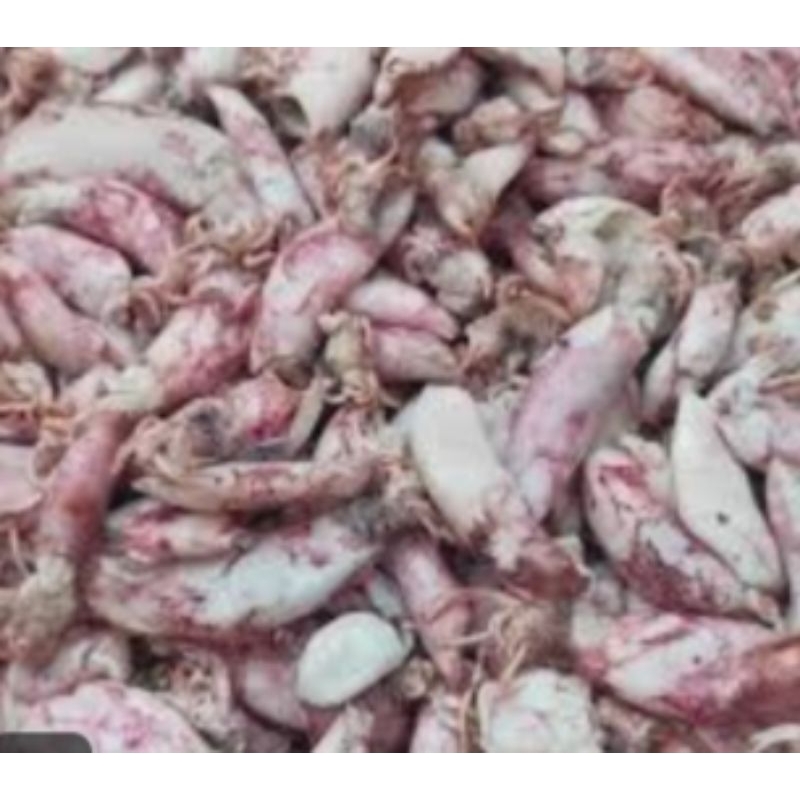 

Cumi asin 500 gram