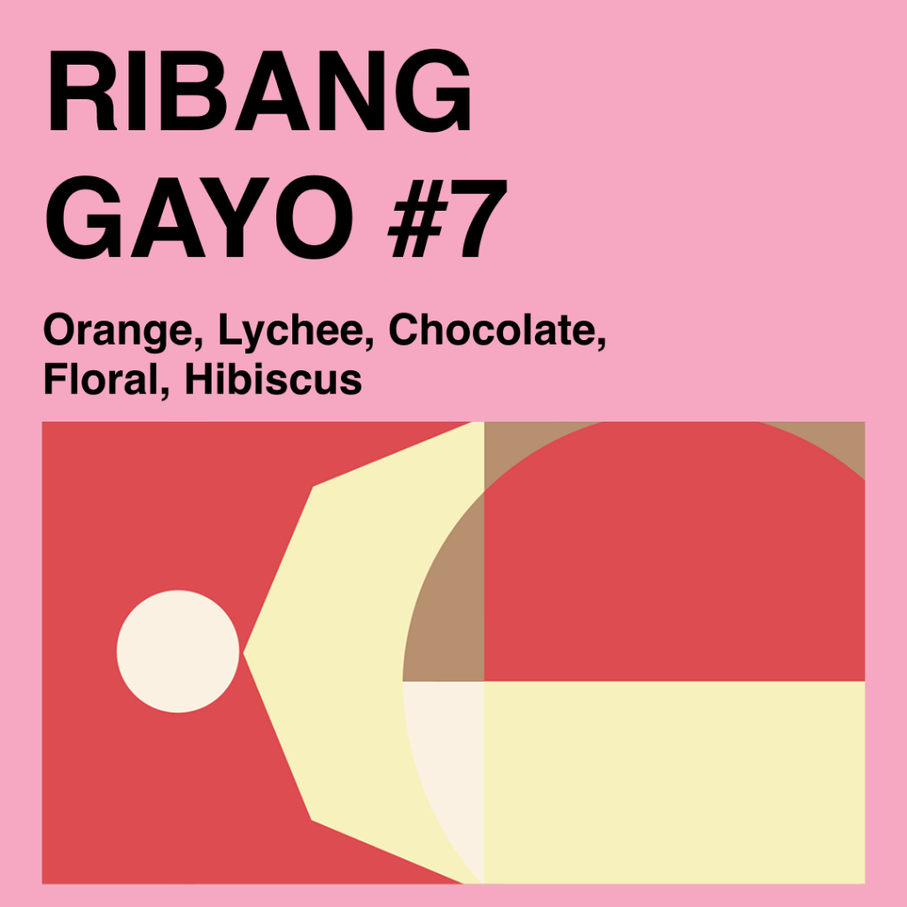 

central aceh Ribang Gayo Pantan Musara-200g-Filter-Coffee