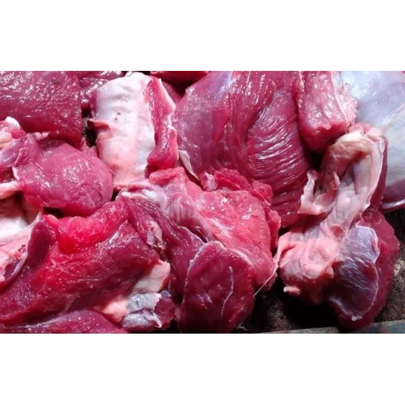

Daging Kambing Domba Muda 1 KG Segar dan Berkualitas