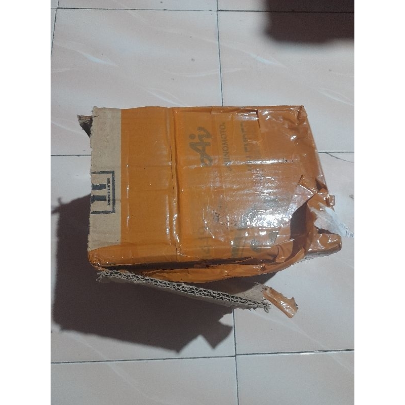 

kardus chana limbata size 15cm