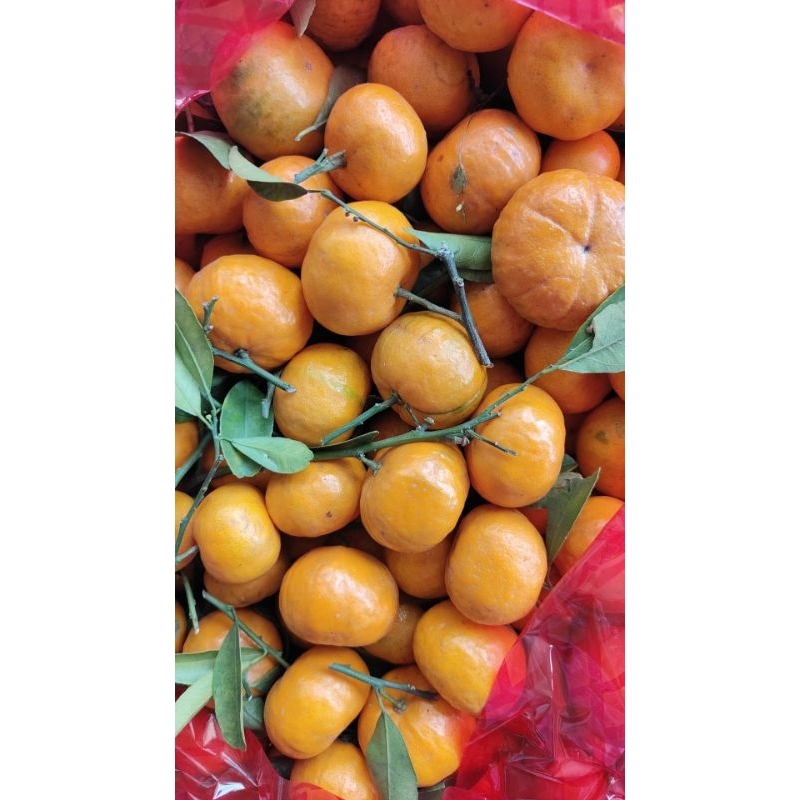 

jeruk santang manis 1kg