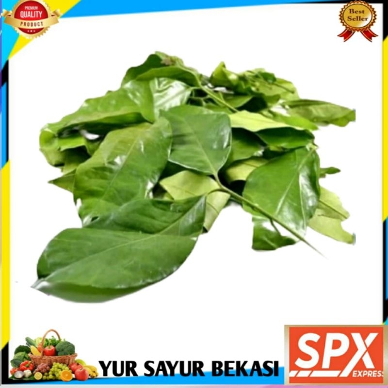 

Daun Melinjo Perbungkus