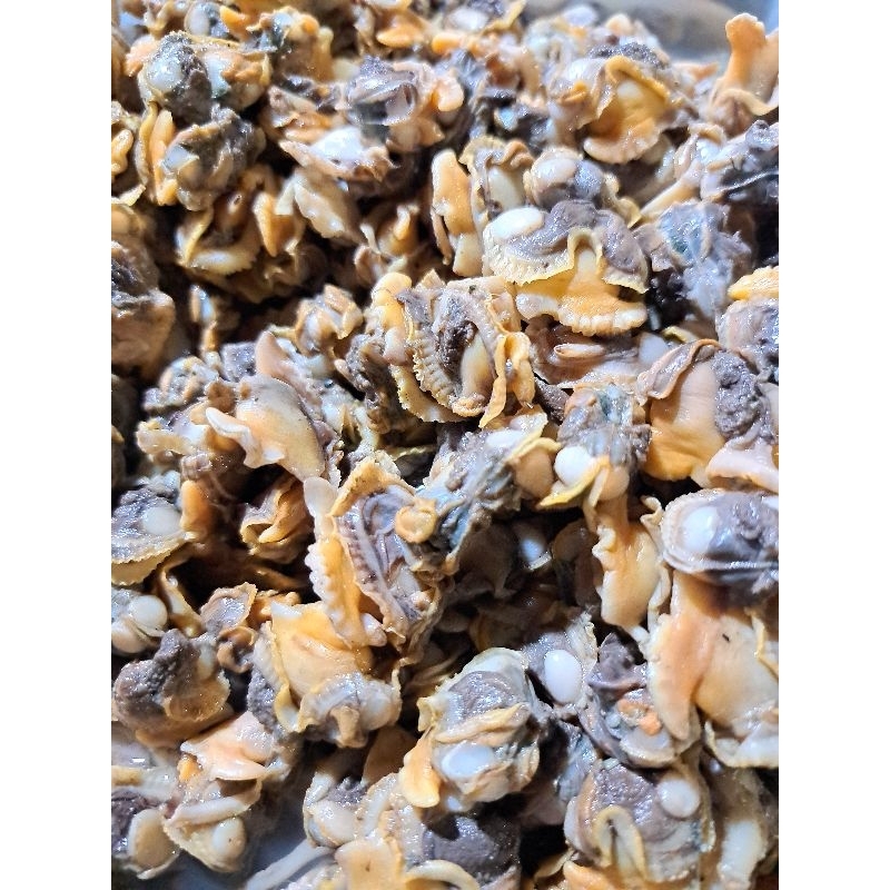 

kerang kupas