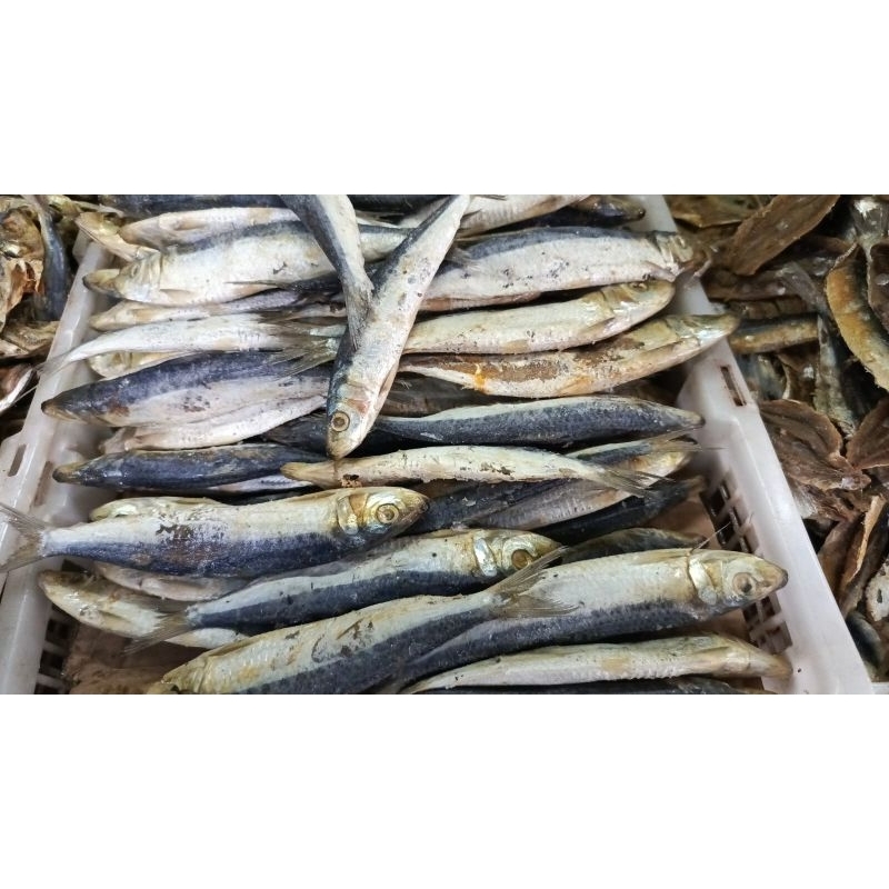 

IKAN ASIN JAPU BELITUNG