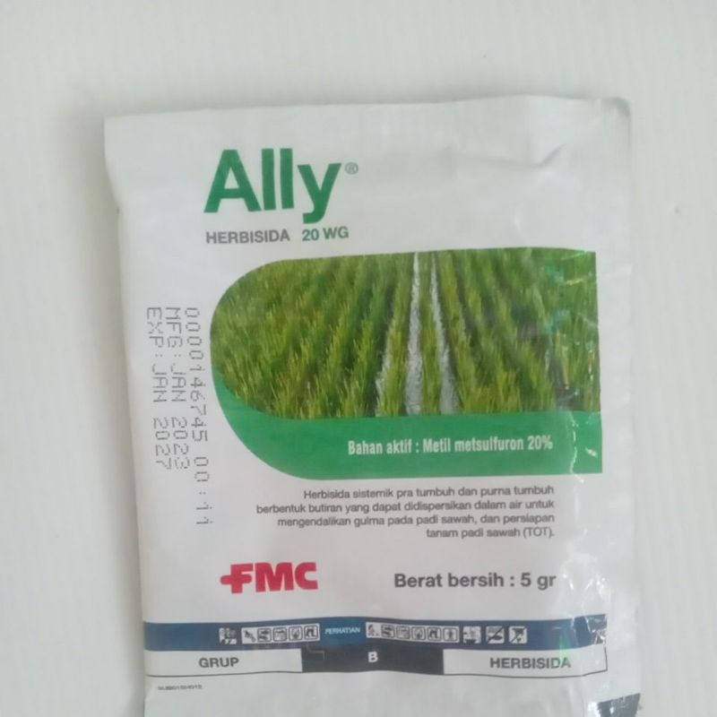 ALLY 20 WG