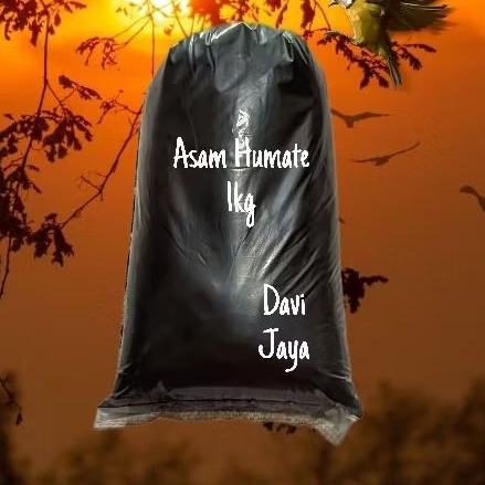 ASAM HUMAT (1KG)