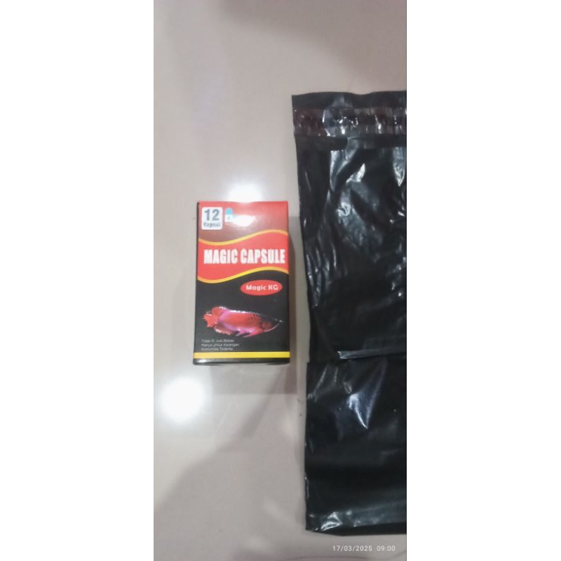 Ikan kembung arowana magic arowana