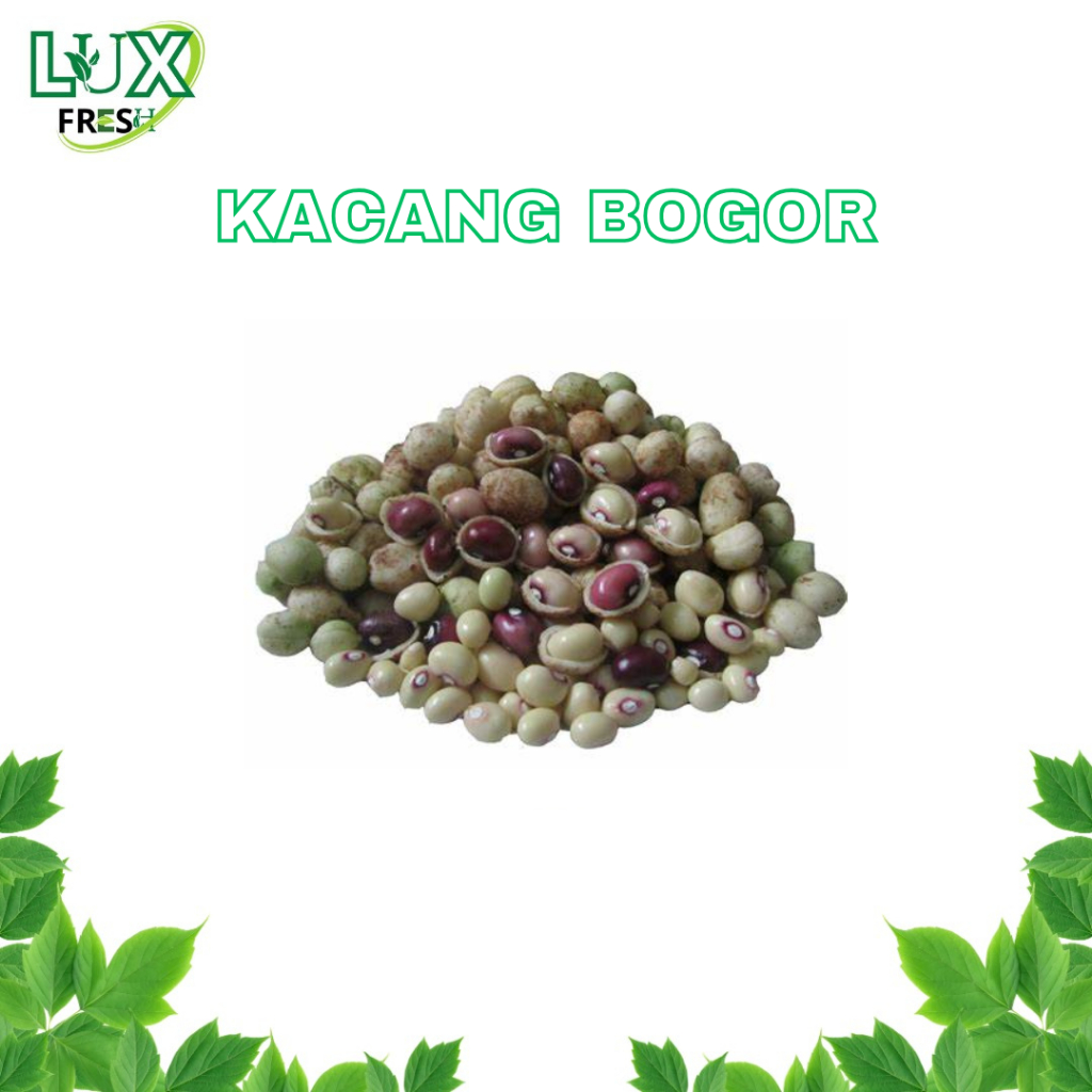 

KACANG BOGOR KEMASAN 1 KG DAN 500 GRAM BEST PRODUCT