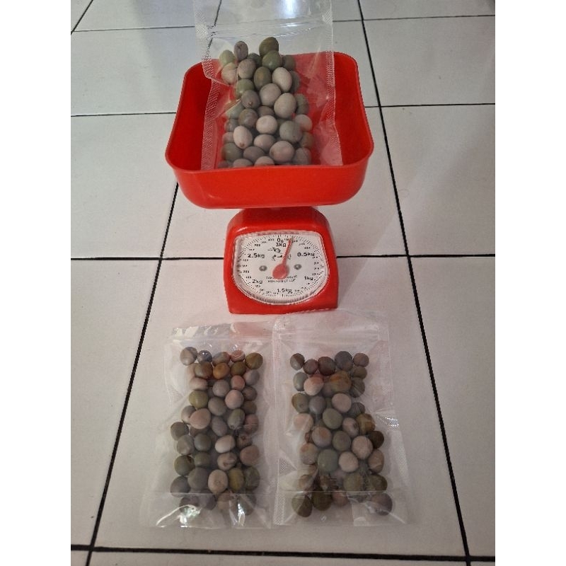 

Buah Kalaloyang 1 ons_Buah kebiul/BUAH GOREK/ASLI BERISI
