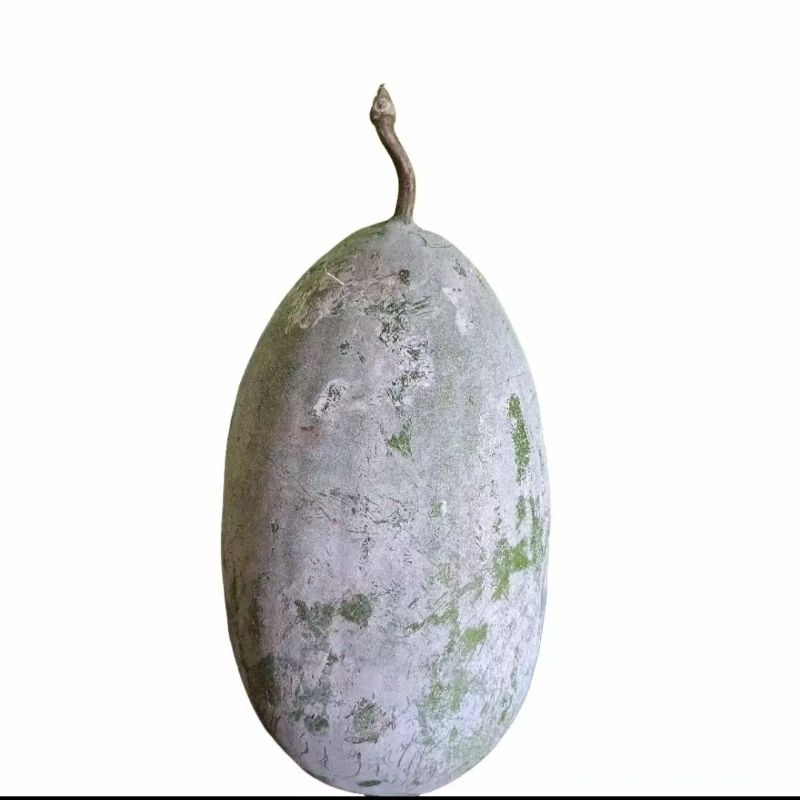 

BUAH BLIGO ATAU KUNDUR OBAT HERBAL 1 KG