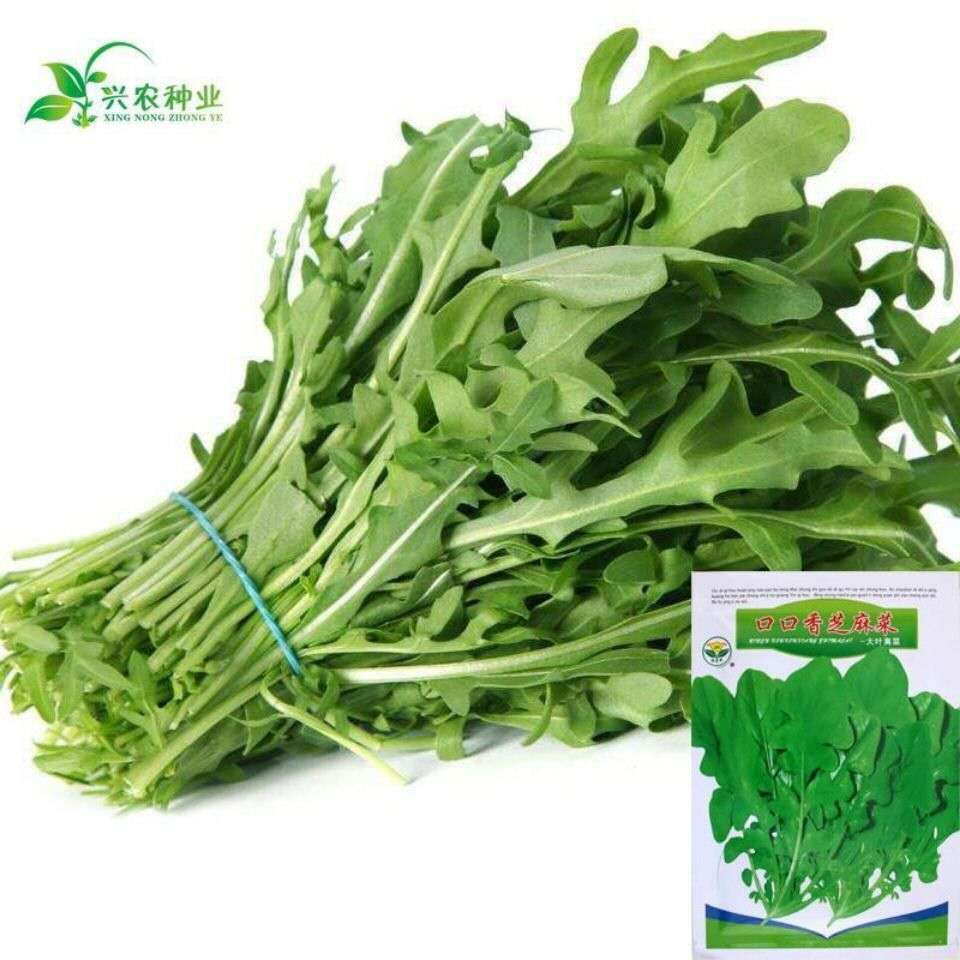 Benih bayam jepang | benih sayur | benih bayam jepang isi 2000      AA - 27