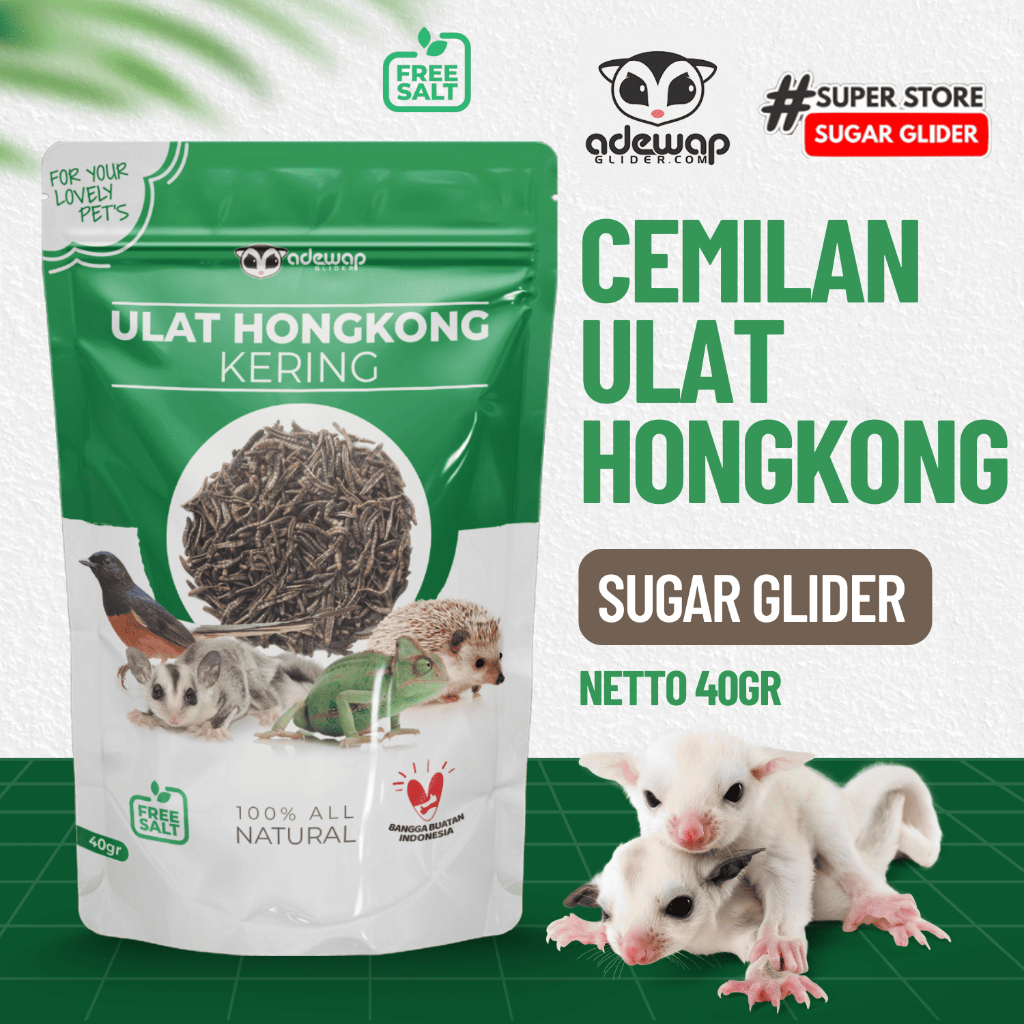 ADEWAP GLIDER Ulat Hongkong Kering 40gr Dried mealworm Sugar Glider