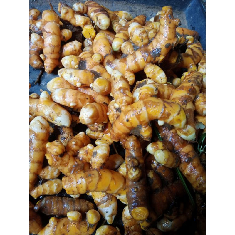 

kunyit/kunir segar 500g