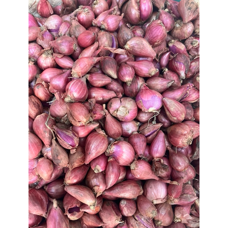 

Bawang Merah Brebes Super Kering Besar 500gr