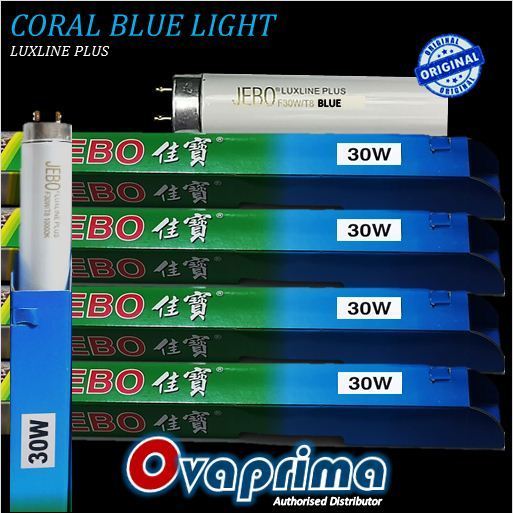 Lampu Neon T8 Jebo 30watt Warna Biru Luxline Plus Coral Blue Light
