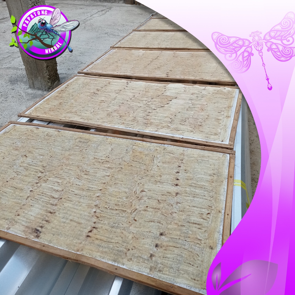

SALE PISANG MENTAH - SALE LEMBAR 50 X 100 CM ( BELUM POTONG )