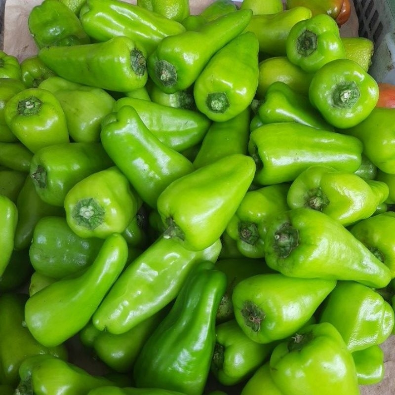 

cabe hijau besar khas kalimantan