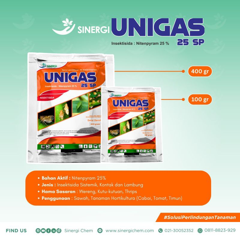 UNIGAS (INSEKTISIDA) PEMBASMI WERENG PALING AMPUH