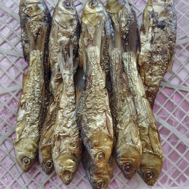 

IKAN SALAI MOTAN 250 GRAM | IKAN MOTAN SALAI 250 GRAM