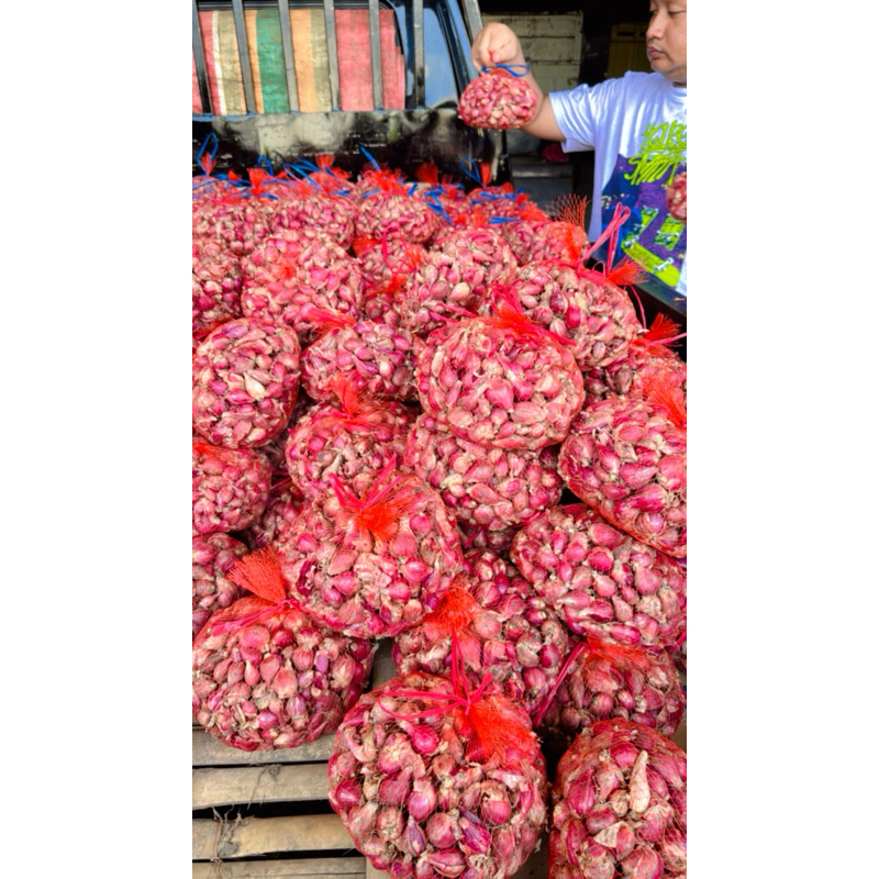 

Bawang Merah Brebes Kering Kemasan 15 Kg