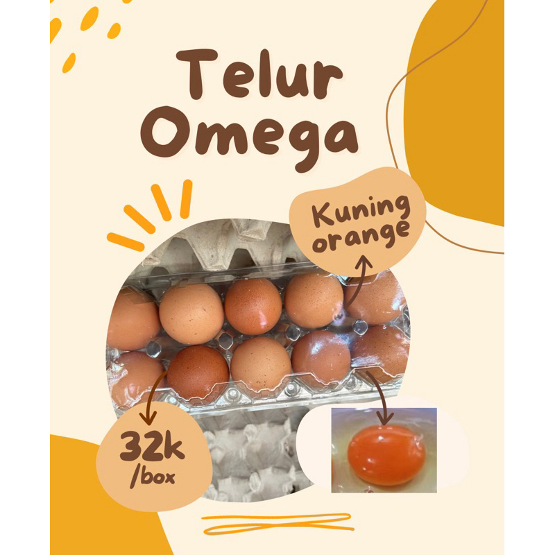 

Telur Ayam Omega