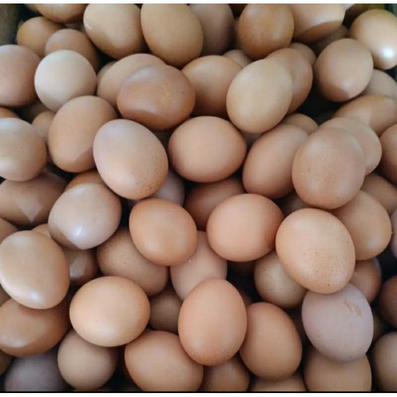 

telur 1kg