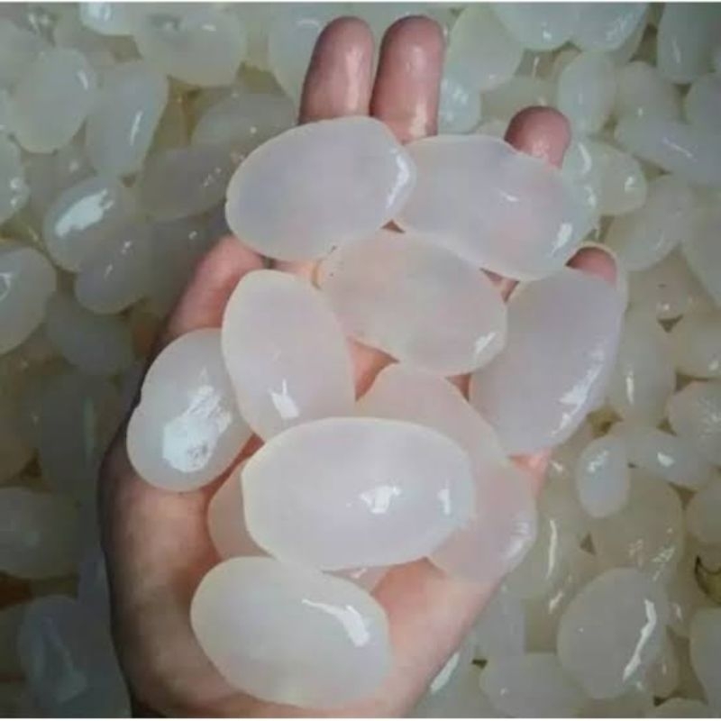 

KOLANG KALING/CANGKALENG SEGAR 1KG
