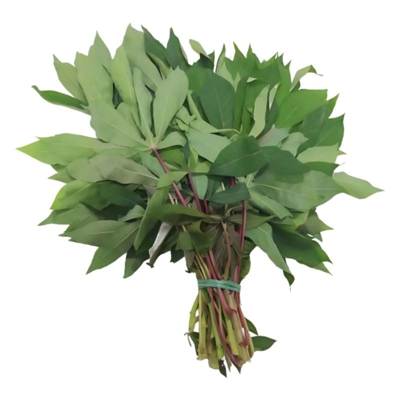 

Daun Singkong 1 Ikat