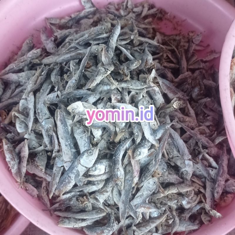 

Ikan Asin Rebus/ Ikan Anak Asin Rebus 100gr