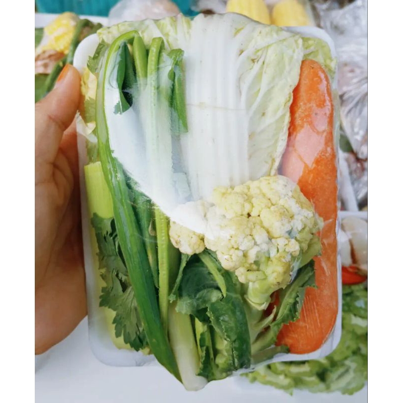 

sayur capcay/sop/Sayur asem/Sayur lodeh