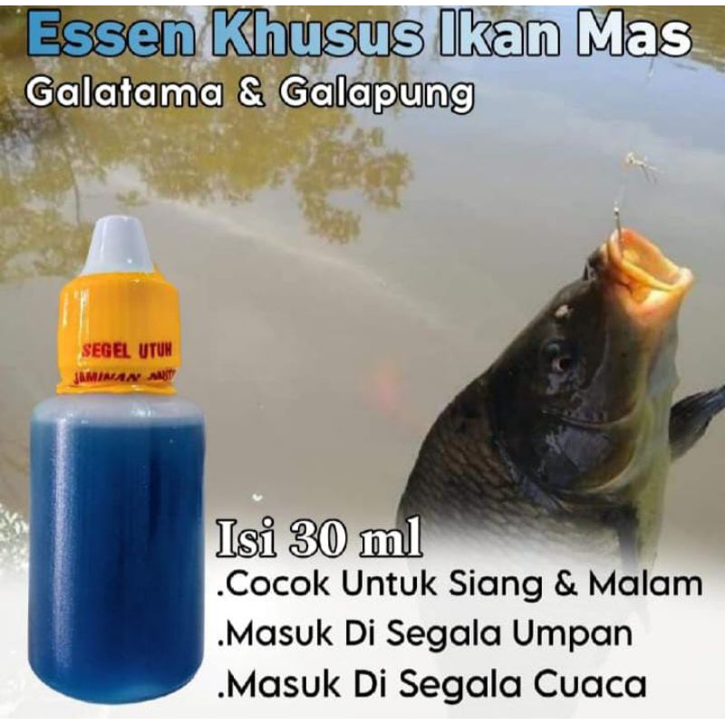 Essen Ikan Mas Indukan, Essen Ikan Mas Galatama, Essen Ikan Mas Galapung, Essen Ikan Mas Lomba