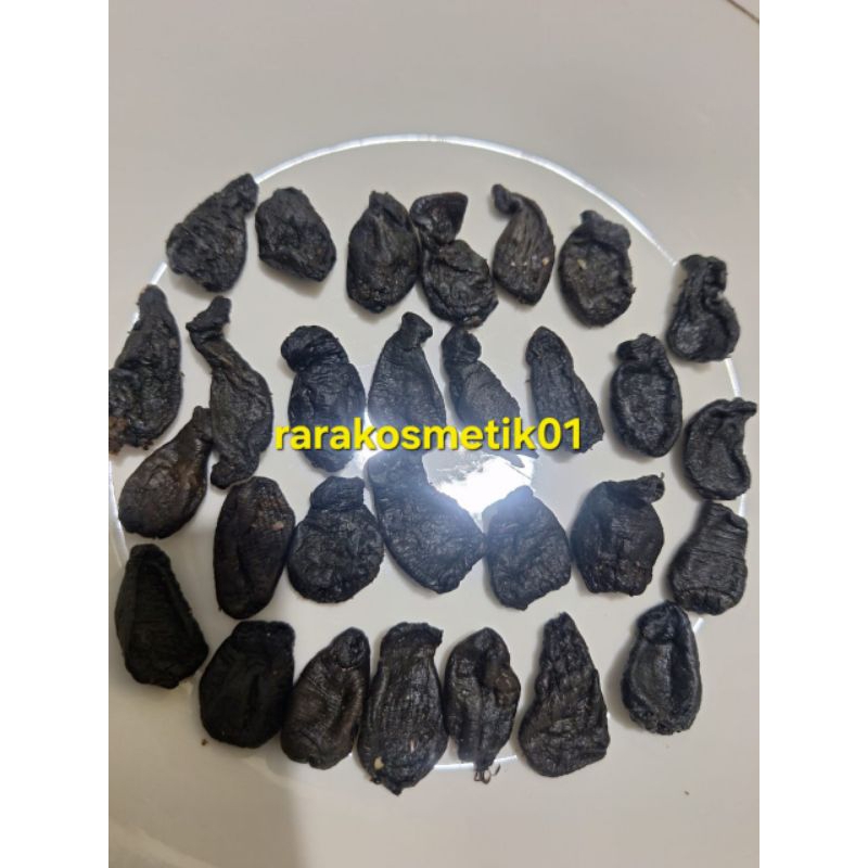[READY LANGSUNG KIRIM] ECERAN EMPOT AYAM BIANG UTUH MPOT AYAM KUALITAS PREMIUM