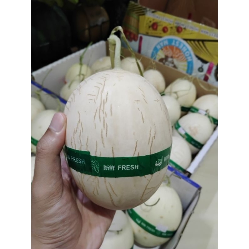 

Melon Sweetnet 700 gr s.d. 850 gr