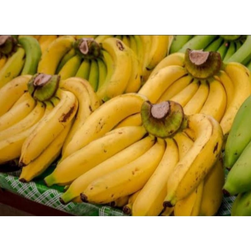

Buah Pisang Uli 1kg Harga Murah