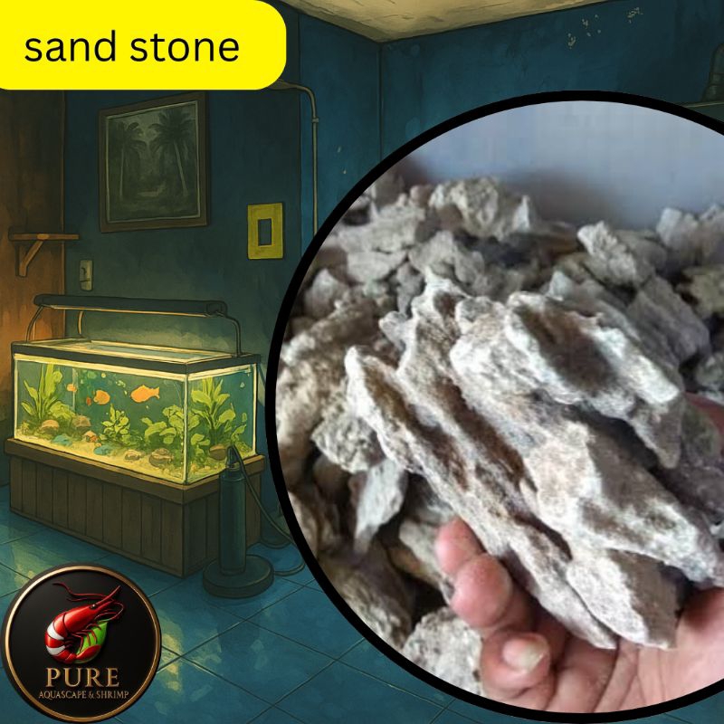 Sand stone batu pasir aquascape